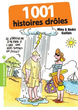 Book cover of 1001 histoires drôles