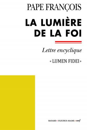 Cover of the book La lumière de la foi by Karine-Marie Amiot