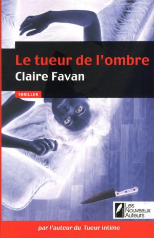 Cover of the book Le tueur de l'ombre by Ernesto Assoute