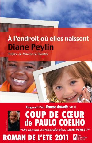 Cover of the book A l'endroit où elles naissent by Jean-noel Marchandiau