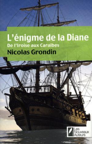 Cover of the book L'enigme de la diane - De l'iroise aux caraïbes by Agnes Diricq, Clementine Bagieu