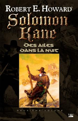Cover of the book Des ailes dans la nuit by SinJin Bane