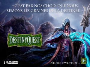 Book cover of DestinyQuest : L'aventure commence maintenant !