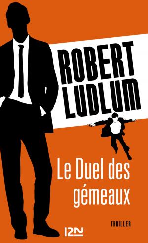 Cover of the book Le Duel des gémeaux by Brigitte AUBERT