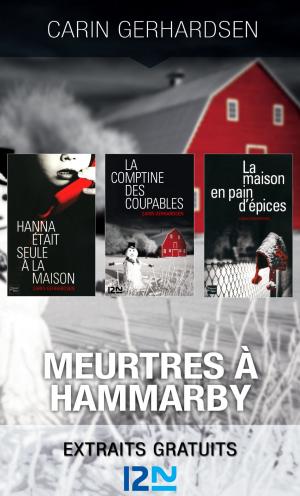 Cover of the book Meurtres à Hammarby by Julie BUXBAUM