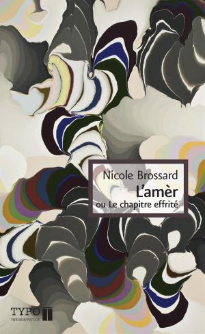 Cover of the book L'amèr by Chrystine Brouillet