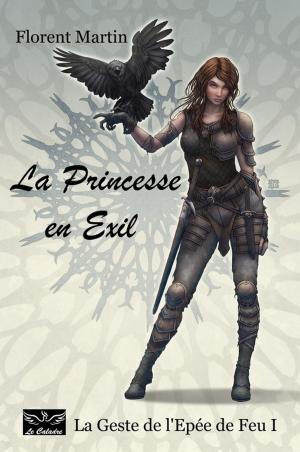 Cover of the book La Princesse en Exil by Paula Baker, Aidan Davies