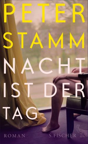 Cover of the book Nacht ist der Tag by Judith Hermann