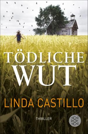 Book cover of Tödliche Wut