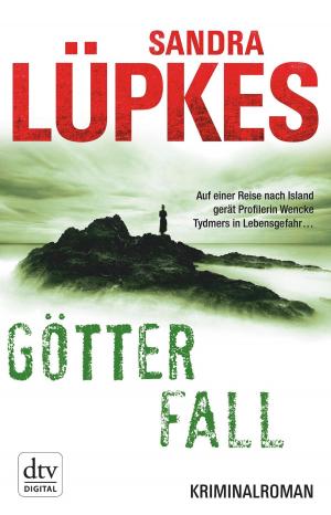 Cover of the book Götterfall by Andreas Schlüter, Irene Margil
