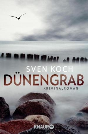 Cover of the book Dünengrab by Jeffery Deaver