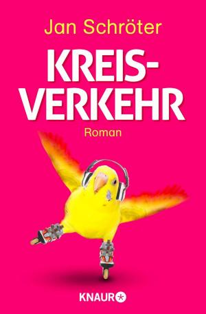 Cover of the book Kreisverkehr by Monika Bittl