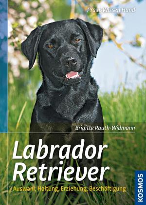 Cover of the book Labrador Retriever by T Cooper, Alison Glock