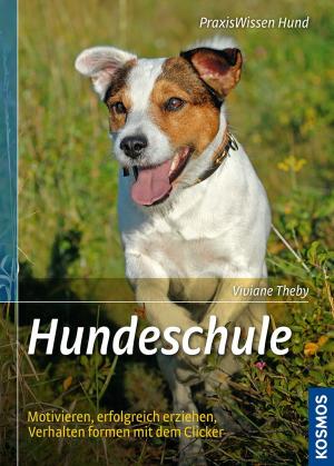 Cover of the book Hundeschule by Mira Sol