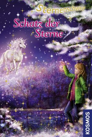 Cover of the book Sternenschweif, 28, Schatz der Sterne by Linda Chapman