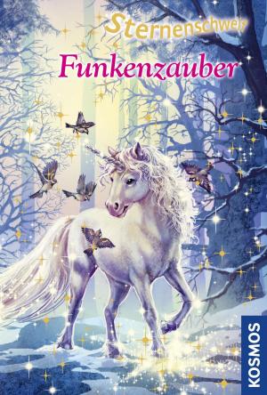 Cover of the book Sternenschweif, 30, Funkenzauber by Stephanie Dagg