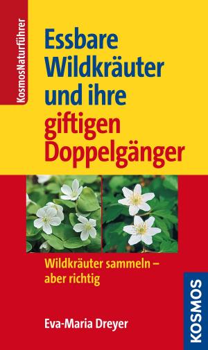 Cover of the book Essbare Wildkräuter und ihre giftigen Doppelgänger by Hans E. Laux