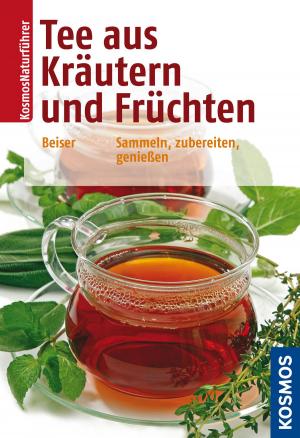 Cover of the book Tee aus Kräutern und Früchten by Joachim Mayer