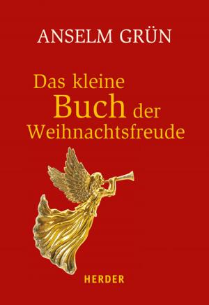 Cover of the book Das kleine Buch der Weihnachtsfreude by Anselm Grün