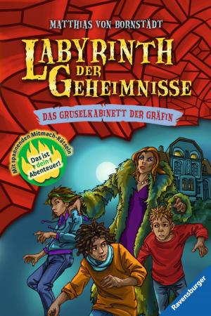 Cover of Labyrinth der Geheimnisse 2: Das Gruselkabinett der Gräfin