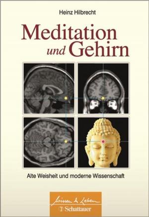 Cover of the book Meditation und Gehirn by Rainer Bösel