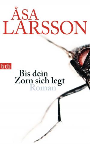 Cover of the book Bis dein Zorn sich legt by Sandra Richter
