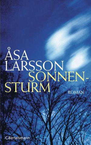 Cover of the book Sonnensturm by Michaela Vieser, Irmela Schautz