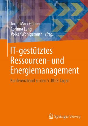 Cover of the book IT-gestütztes Ressourcen- und Energiemanagement by Ulrich Hauptmanns