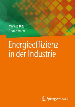 Cover of the book Energieeffizienz in der Industrie by Sonja C. Grover