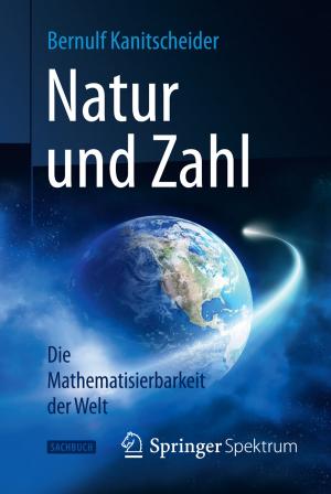Cover of the book Natur und Zahl by Wenke Liedtke