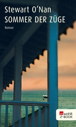 Cover of the book Sommer der Züge by Abbi Waxman