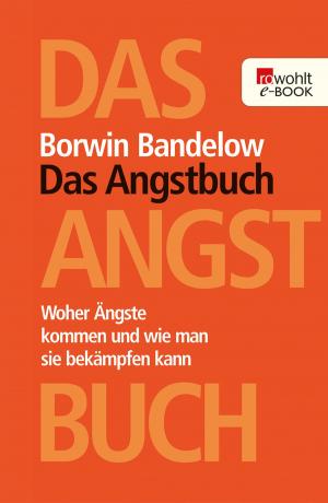Book cover of Das Angstbuch