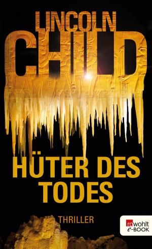 Book cover of Hüter des Todes