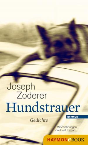 Cover of the book Hundstrauer by Christoph W. Bauer
