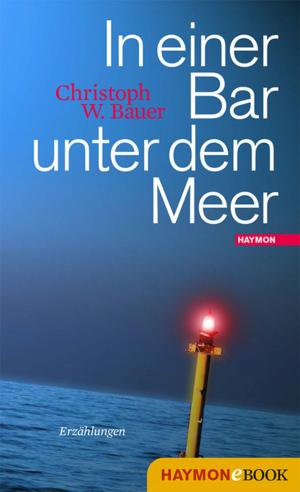 Cover of the book In einer Bar unter dem Meer by Lisa Lercher