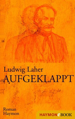 Cover of the book Aufgeklappt by Bernhard Aichner