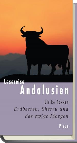 Cover of the book Lesereise Andalusien by Martin Amanshauser