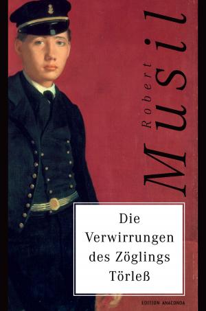 Cover of Die Verwirrungen des Zöglings Törleß