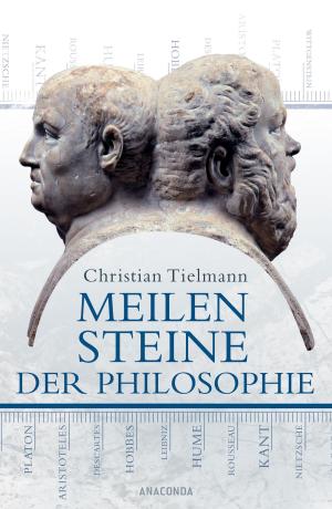 Cover of the book Meilensteine der Philosophie by Wilhelm Hauf