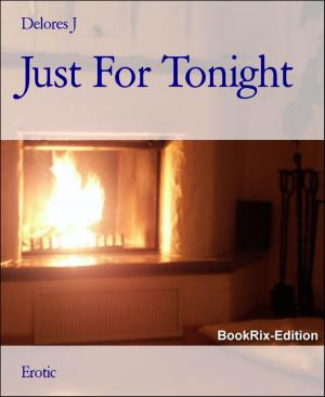 Cover of the book Just For Tonight by Andrew J Roberts