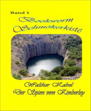 Cover of the book Schmökerkiste Band 1 - Der Spion von Kimberley by Luna Sommer