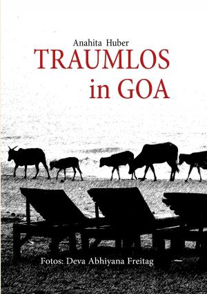 Cover of the book Traumlos in Goa by Stephan Brakensiek