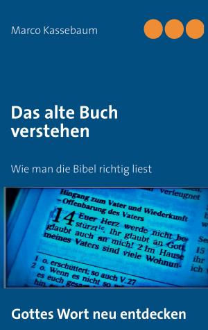 Cover of the book Das alte Buch verstehen by Dirk Beerbaum