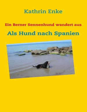 Cover of the book Ein Berner Sennenhund wandert aus by Andreas Wicker