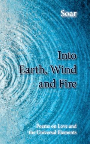 Cover of the book Into Earth, Wind and Fire by Lorenz Filius