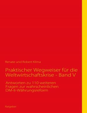 Cover of the book Praktischer Wegweiser für die Weltwirtschaftskrise - Band V by Viktor Anton