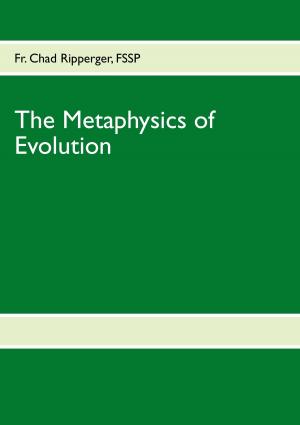 Cover of the book The Metaphysics of Evolution by Beatrix Petrikowski, Michael Petrikowski