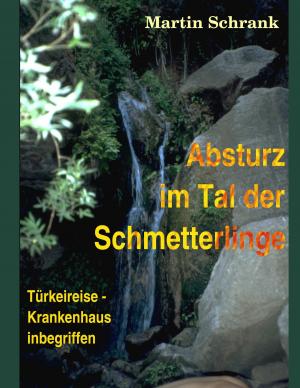 Book cover of Absturz im Tal der Schmetterlinge