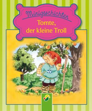 Cover of Tomte, der kleine Troll