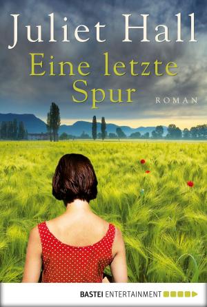Cover of the book Eine letzte Spur by Sissi Merz